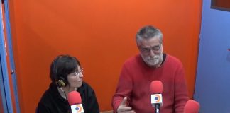 Entrevista a Despigat DespiGat - Ràdio Despí