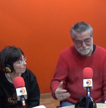 Entrevista a Despigat DespiGat - Ràdio Despí