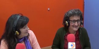 Entrevista a la Asociación Violeta
