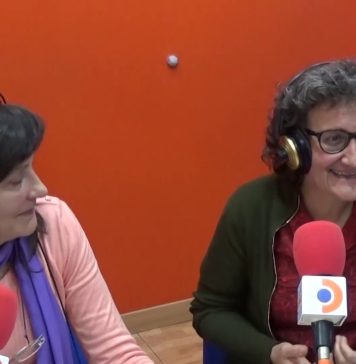 Entrevista a la Asociación Violeta