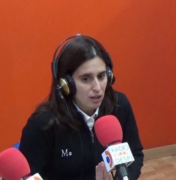 Entrevista a Inma Maldonado (INN Solutions) Inma Maldonado (INN Solutions) - Ràdio Despí