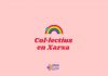 Col·lectius en Xarxa Col·lectius En Xarxa - Ràdio Despí