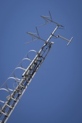 Antena